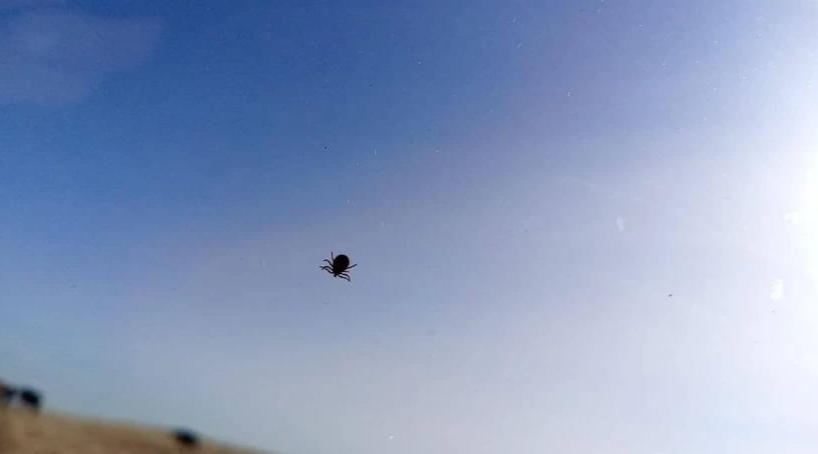 Фото: Министерство общественной безопасности Челябинской области