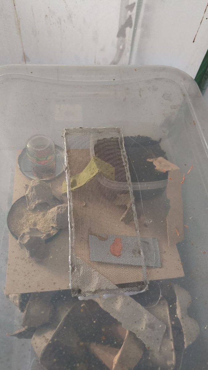 Вид сверху.