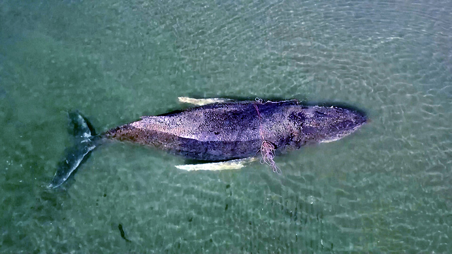    © АО "ТВ Центр"