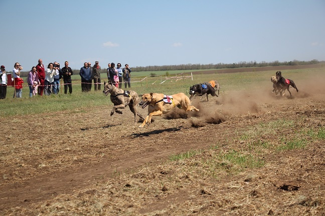    Фото из архива "РВ" Василий Шеин