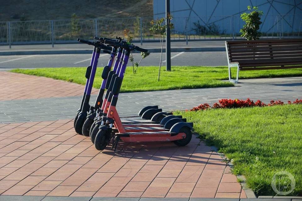    Фото: Дмитрий Рогулин/"Городские вести"