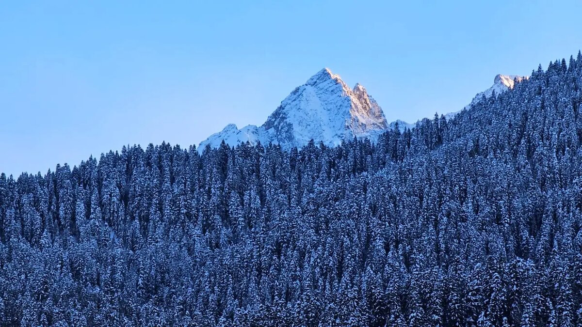     © "Интерфакс". Олег Санников