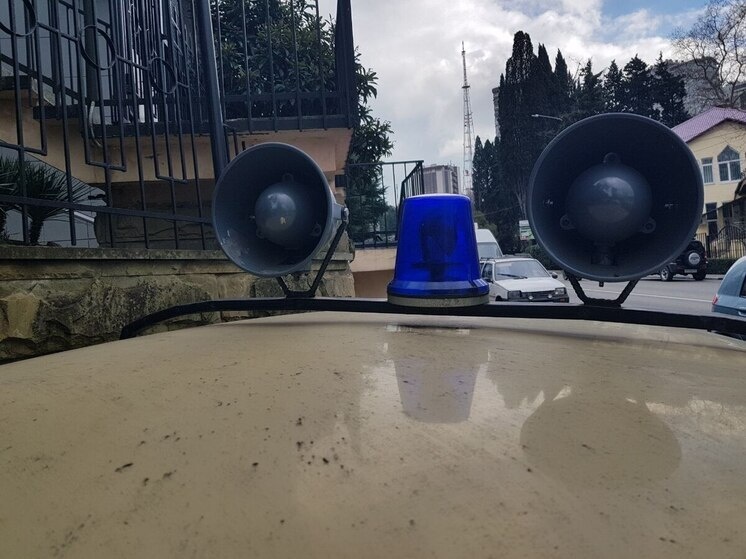     Фото: МК в Сочи