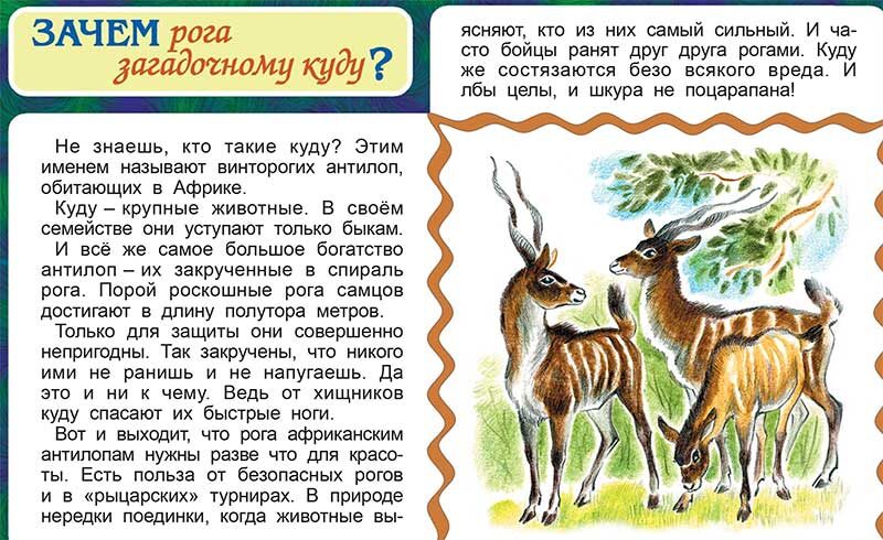 Зачем рога загадочному куду?