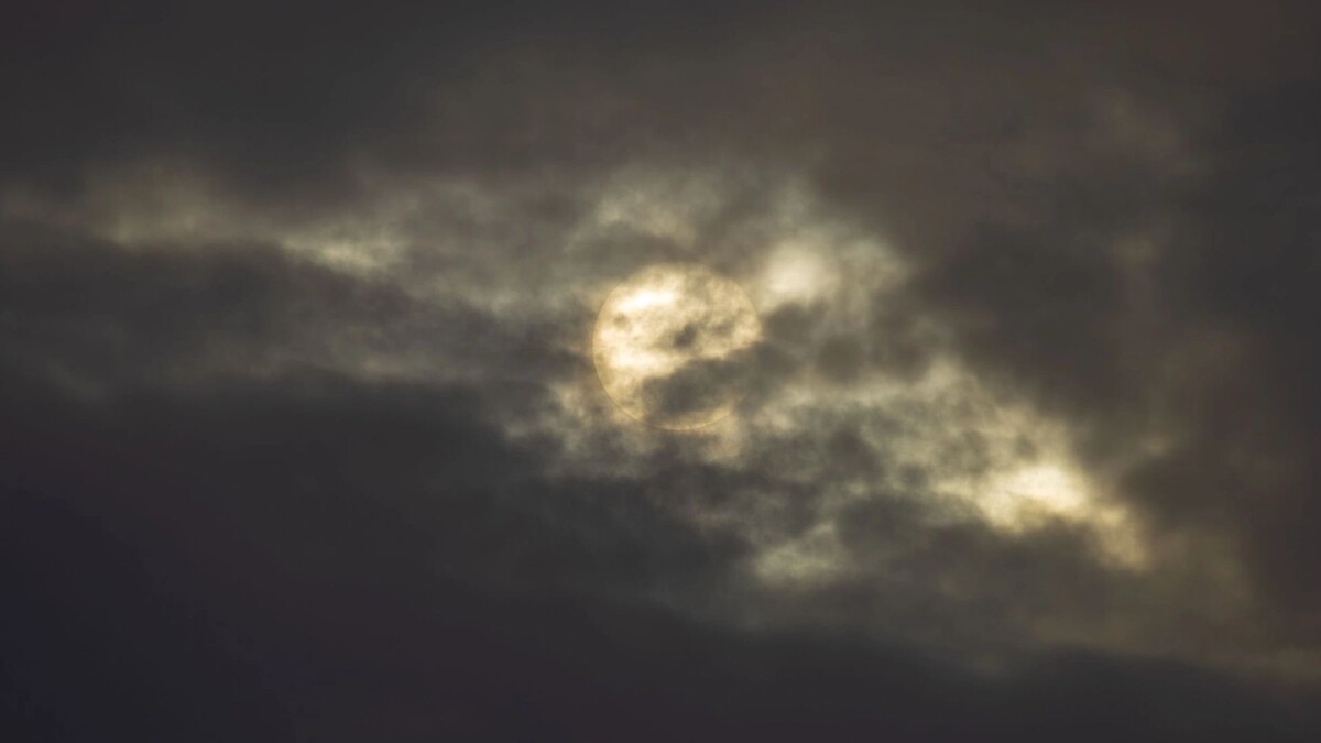    Фото: Федор Воронов/«Ямал-Медиа»