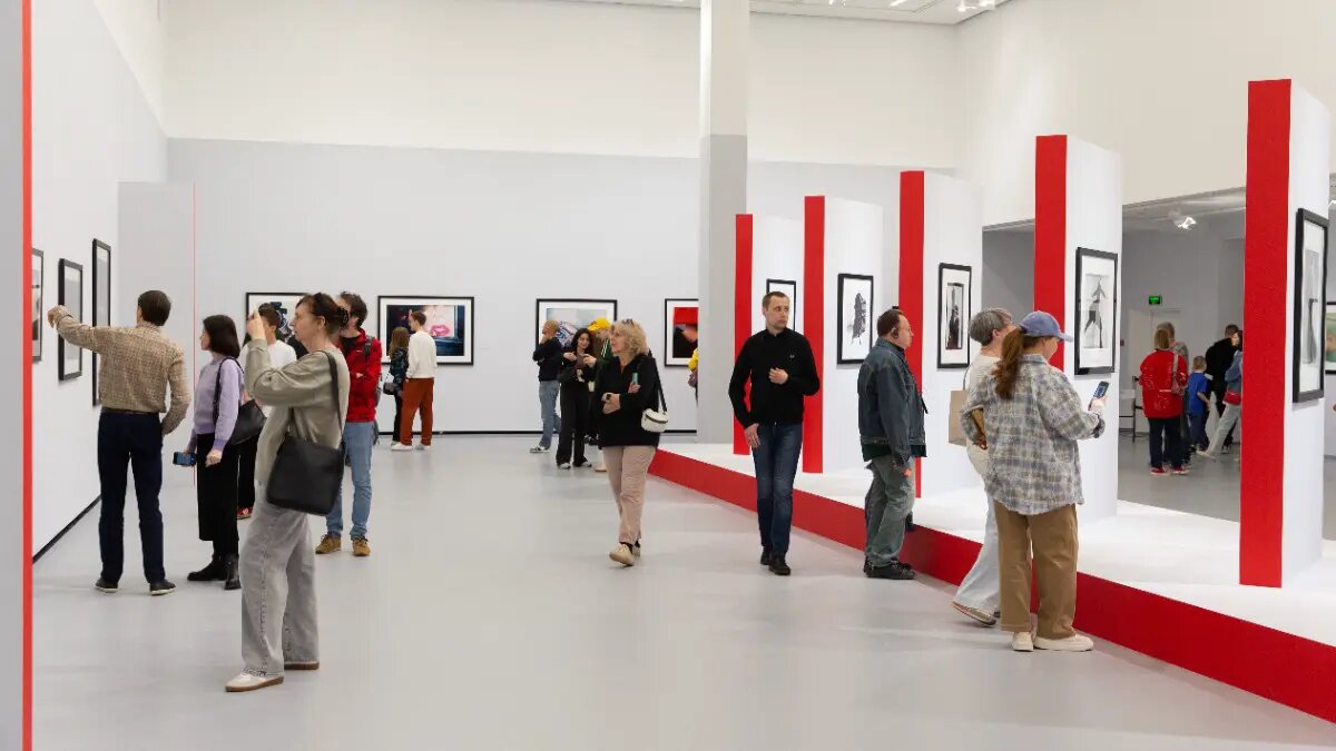    Источник: vm.ru/ Владимир Новиков