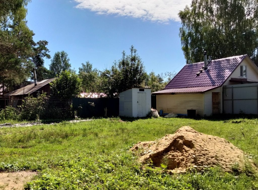    Анастасия Петрова