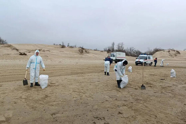 Telegram-канал «Оперативный штаб - Краснодарский край»  📷