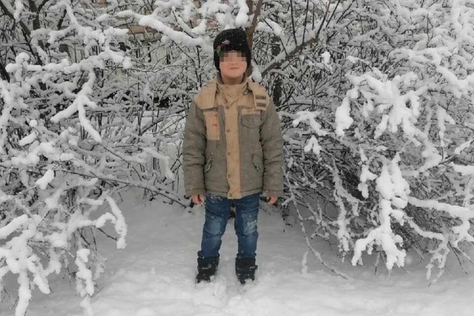 Три домашних питбуля растерзали девятилетнего мальчика в гостях у друга-школьника. Фото: СОЦСЕТИ