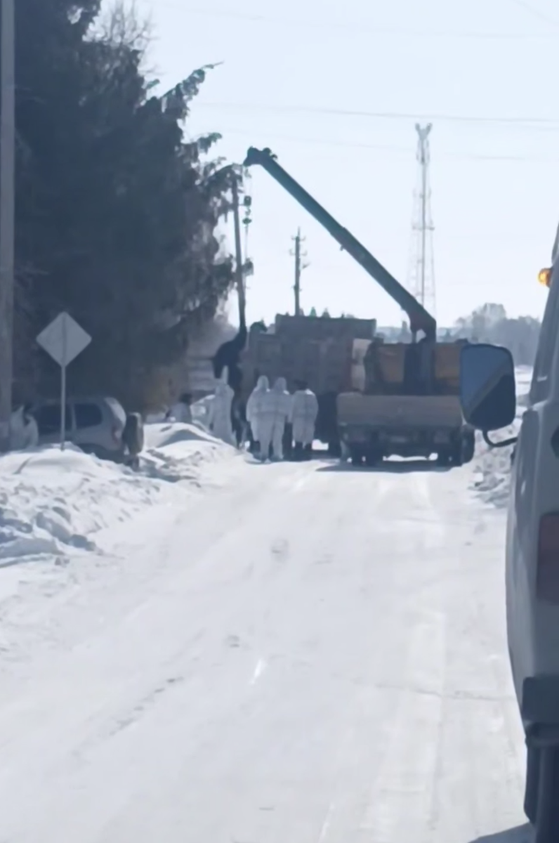 Кадр из видео
Конфискация скота началась в Новопичугово Ордынского района Новосибирской области. Кадр из видео / Телеграм-канал «Сибирский Экспресс»
