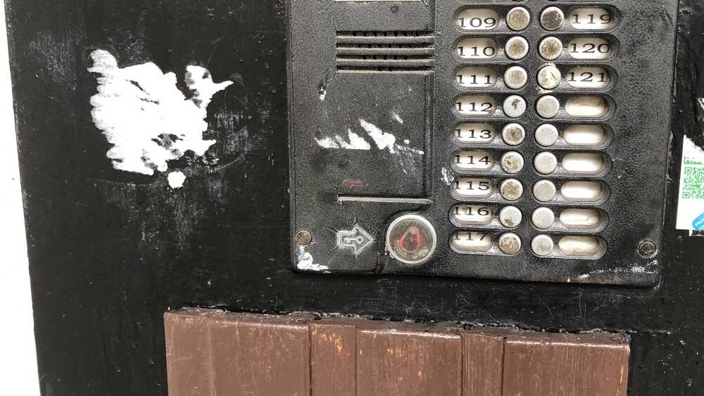    Фото: «Брянские новости»