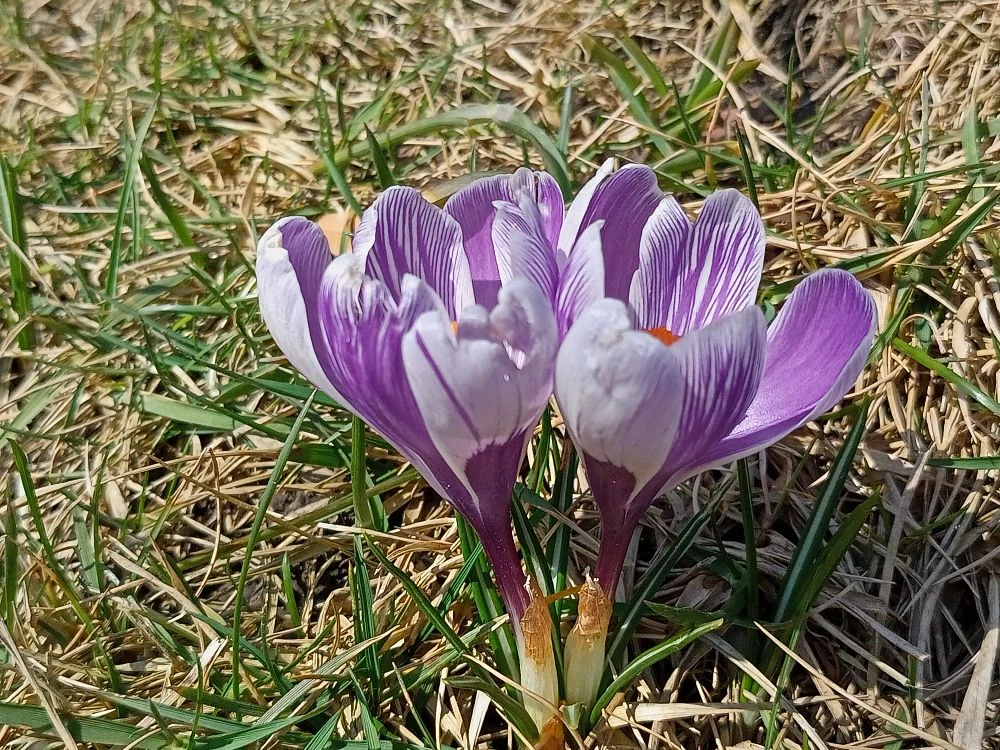    Фото редакции "СВ" Марина Ецкова
