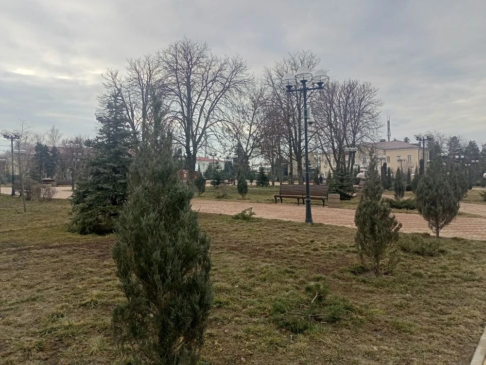    Фото редакции "СВ" Марина Ецкова