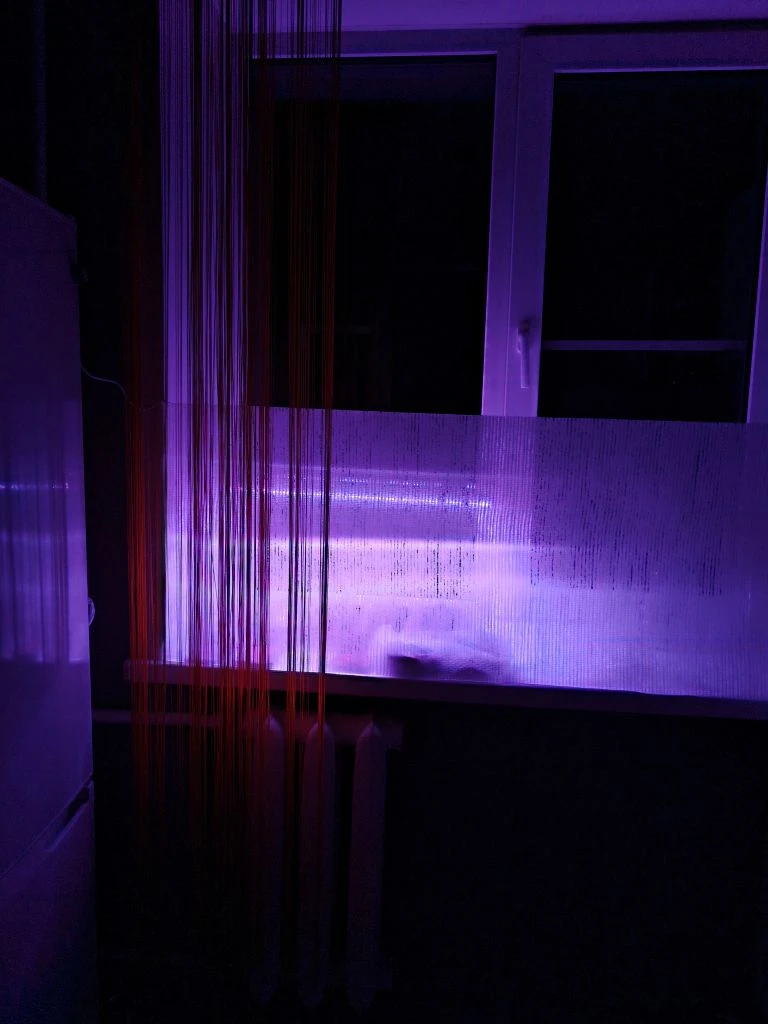-2-3