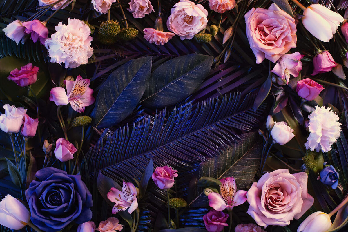     123RF/legion-media.ru