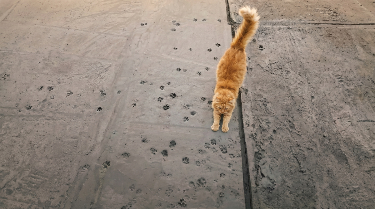 
Изображение сгенерировано ИИ