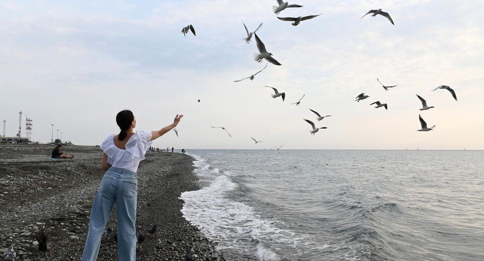    РИА «Новости»