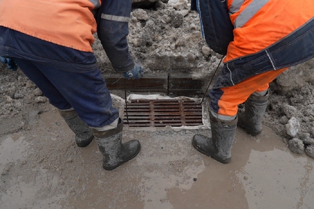    Фото: Влада Яковлева, nsknews.info