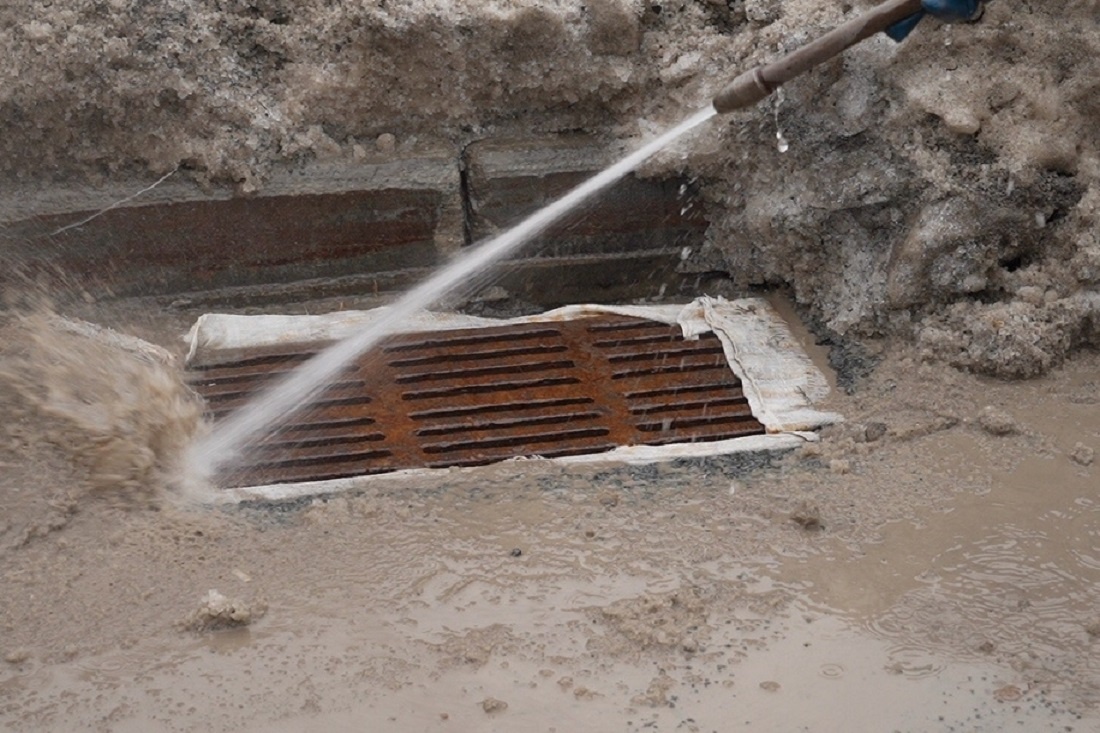    Фото: Влада Яковлева, nsknews.info