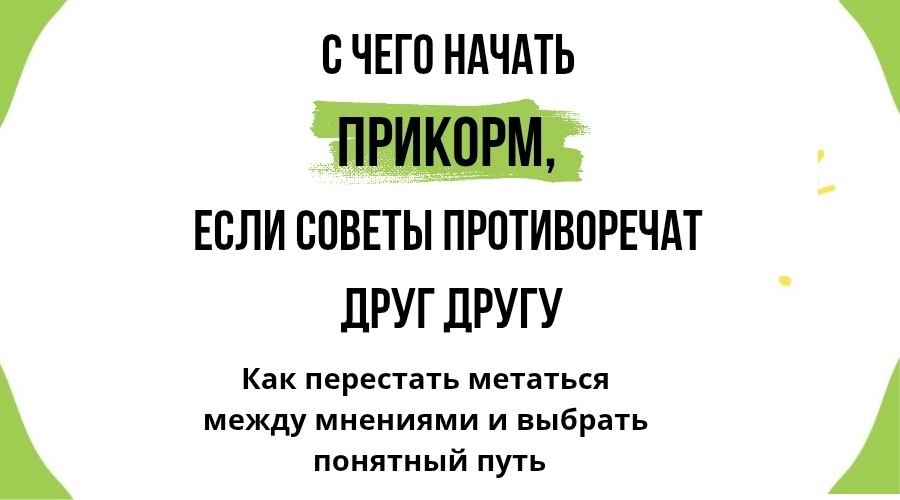 Как перестать метаться между мнениями и выбрать понятный путь