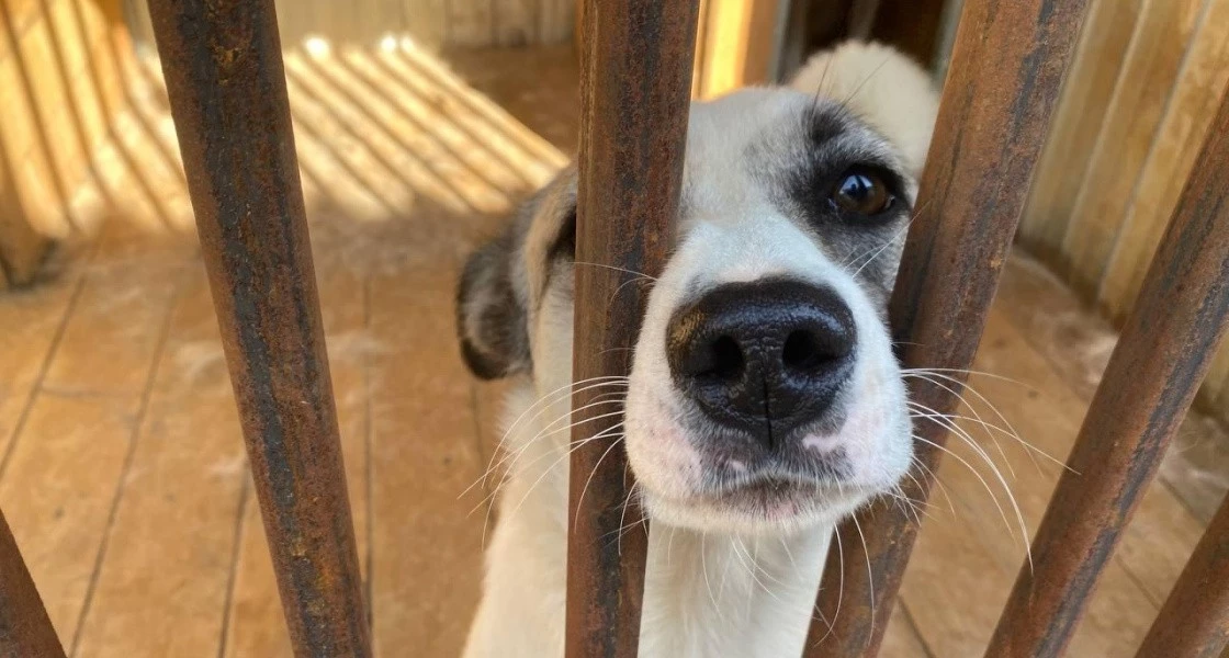 ФОТО - департамент ЖКХ Нижневартовска