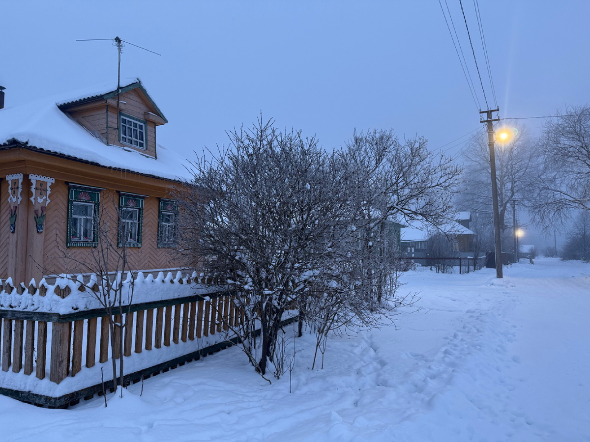 деревня зимой, февраль. Демидово, Ярославская область, Большесельский район