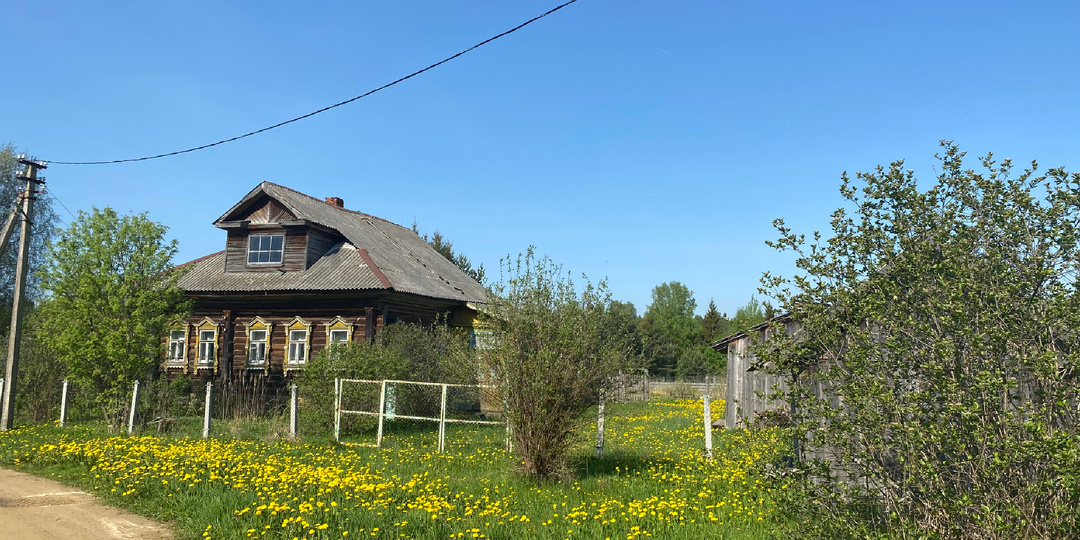 Чем пахнет деревня в разное время года: запахи, по которым я узнаю жизнь