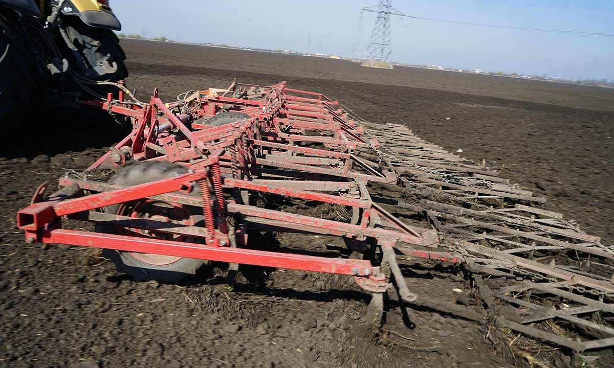    Фото Виктории Перевязко, «Кубань 24»