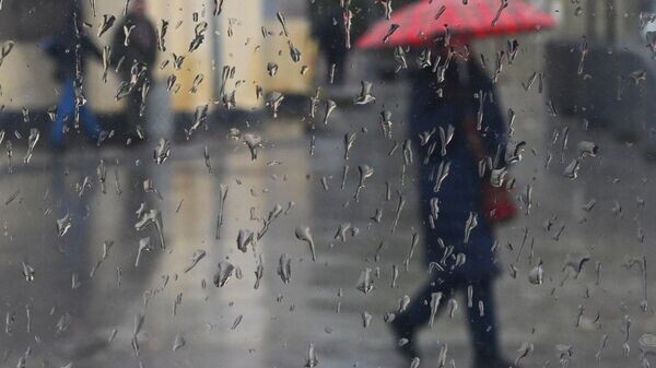    © Sputnik / Кирилл Каллиников