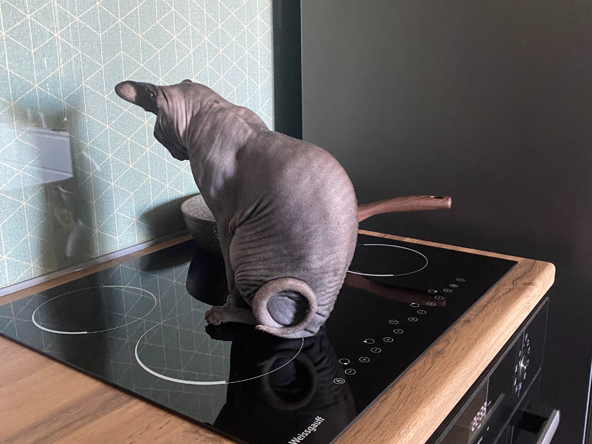 Ловит тепло остывающей конфорки