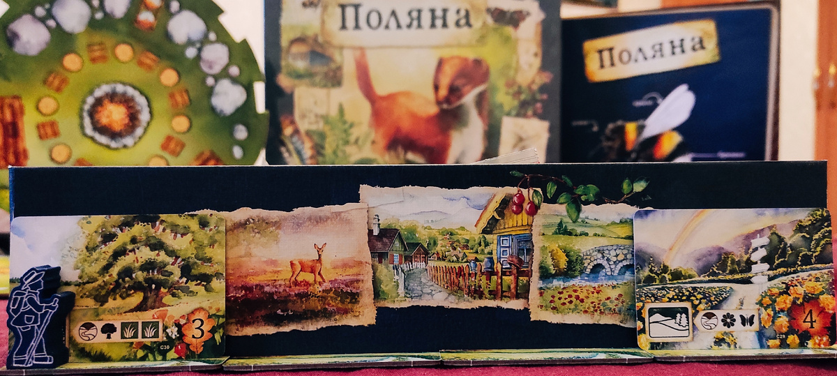 Натуралист Андрей идёт по деревенским просторам