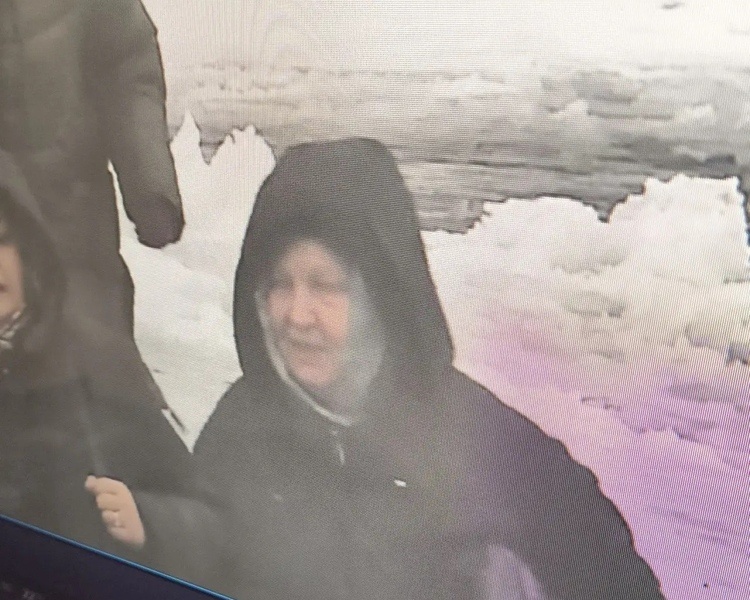     В Курске полицейские разыскивают женщину, подозреваемую в краже