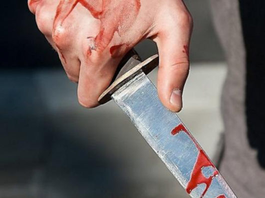    Человек с ножом //Фото: volyn24.com