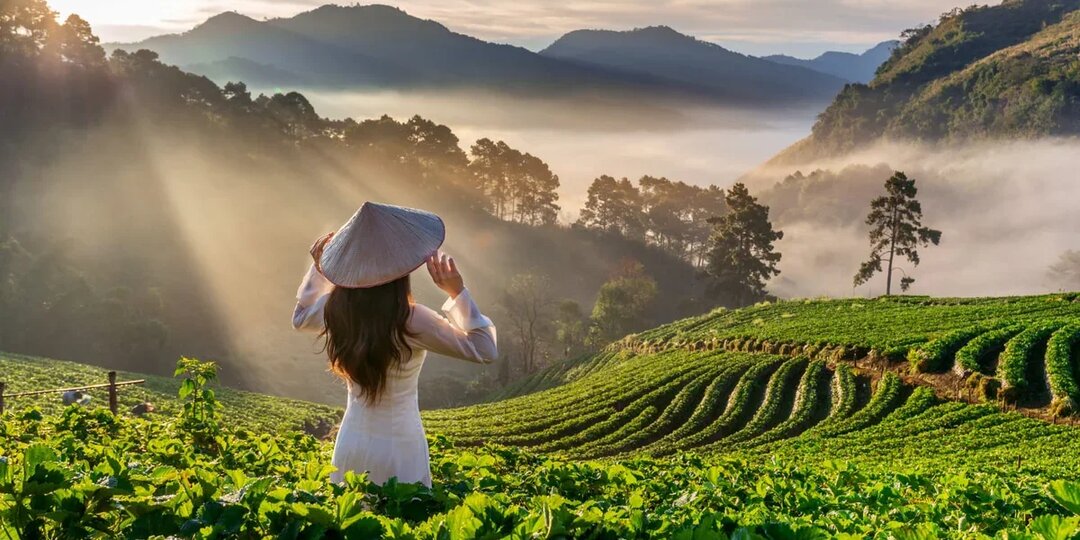 «Горящих» туров во Вьетнам на май не будет: спрос вырос в три раза