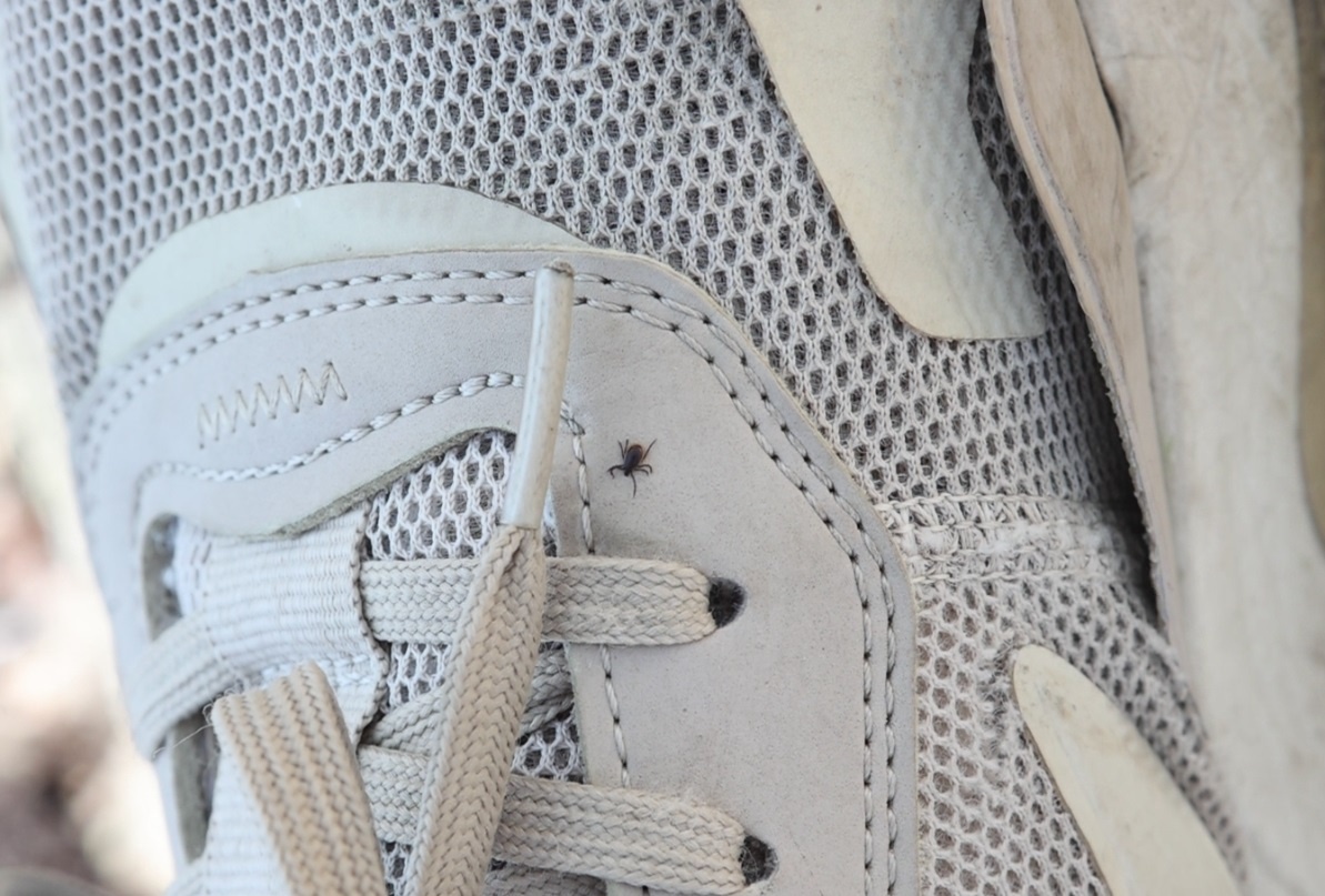 Фото: Михаил Шуклин