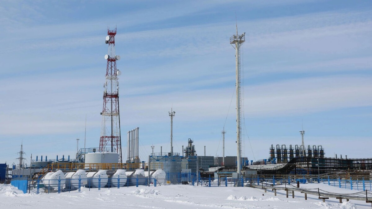    Фото: Андрей Ткачев/«Ямал-Медиа»