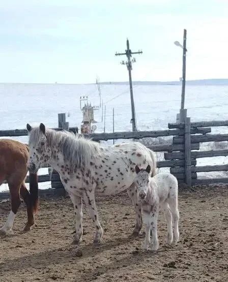    Фото: канал Александра Осипова в мессенджере MAX