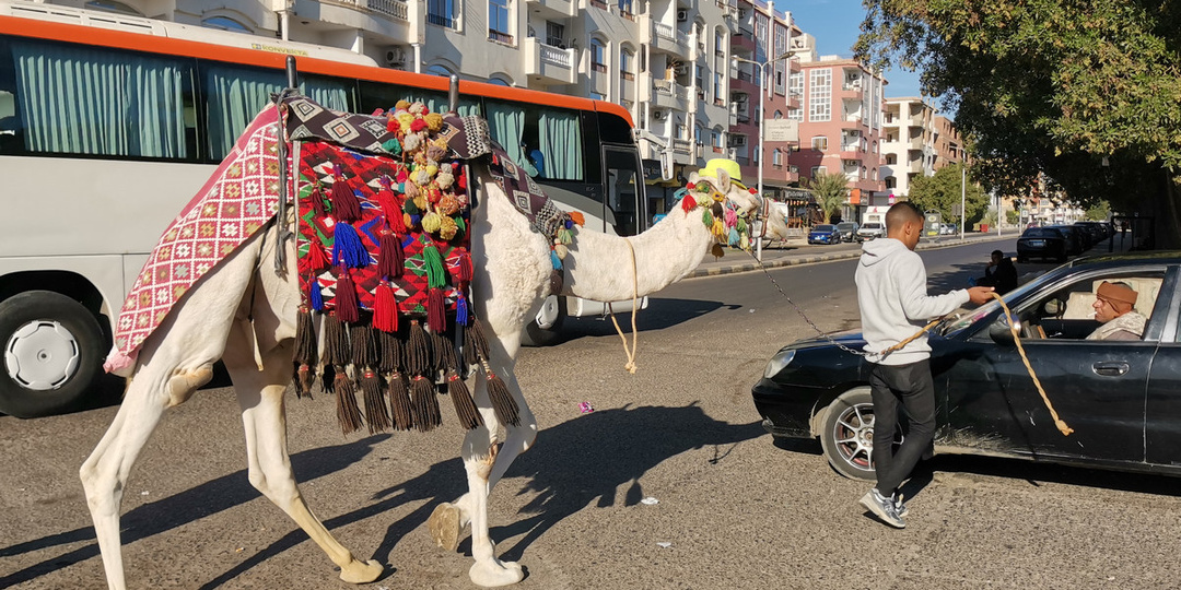 Как пользоваться такси в Хургаде (и не потерять чемодан — или самооценку)