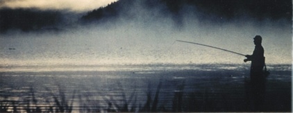 Чехоня, лов чехони, поклёвка.