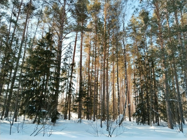 Фото Снежаны Тарасовой