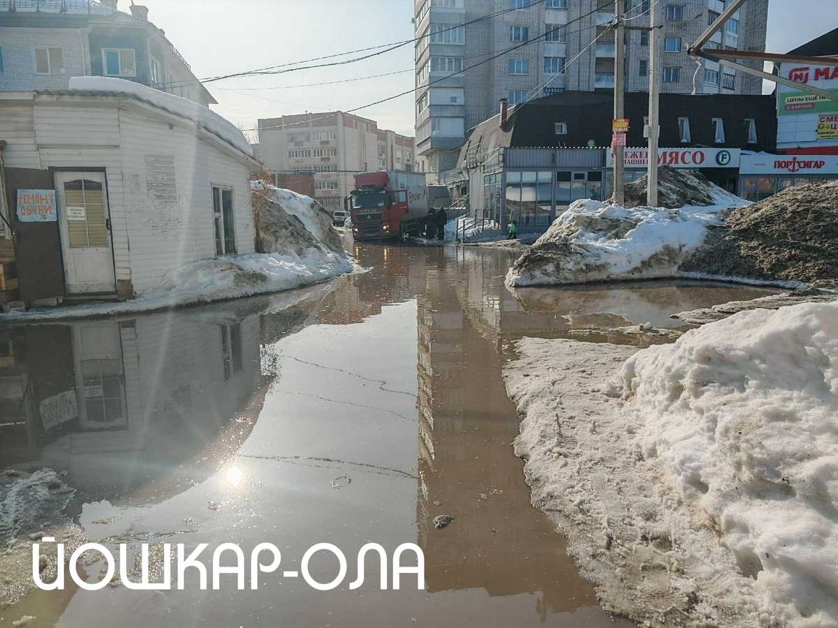 Фото Екатерины Яровиковой