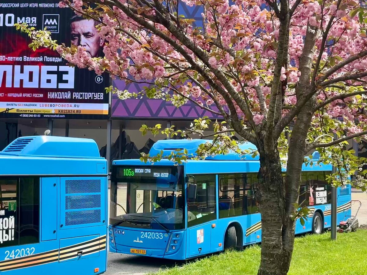    Фото: Telegram/Департамент транспорта и дорожного хозяйства Сочи