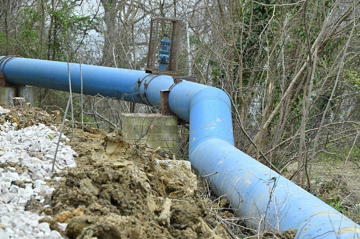    Фото: пресс-служба администрации города Сочи