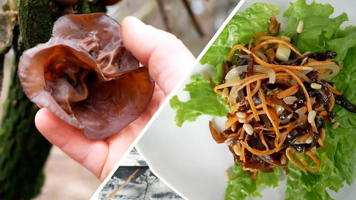 Фотография из интернета