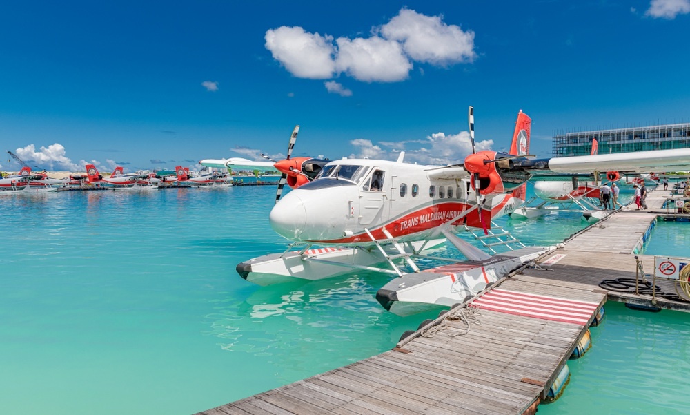     @icemanphotos/Shutterstock aldita.net