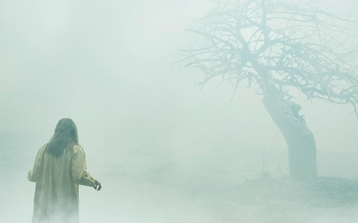 Постерр фильма "Шесть демонов Эмили Роуз"