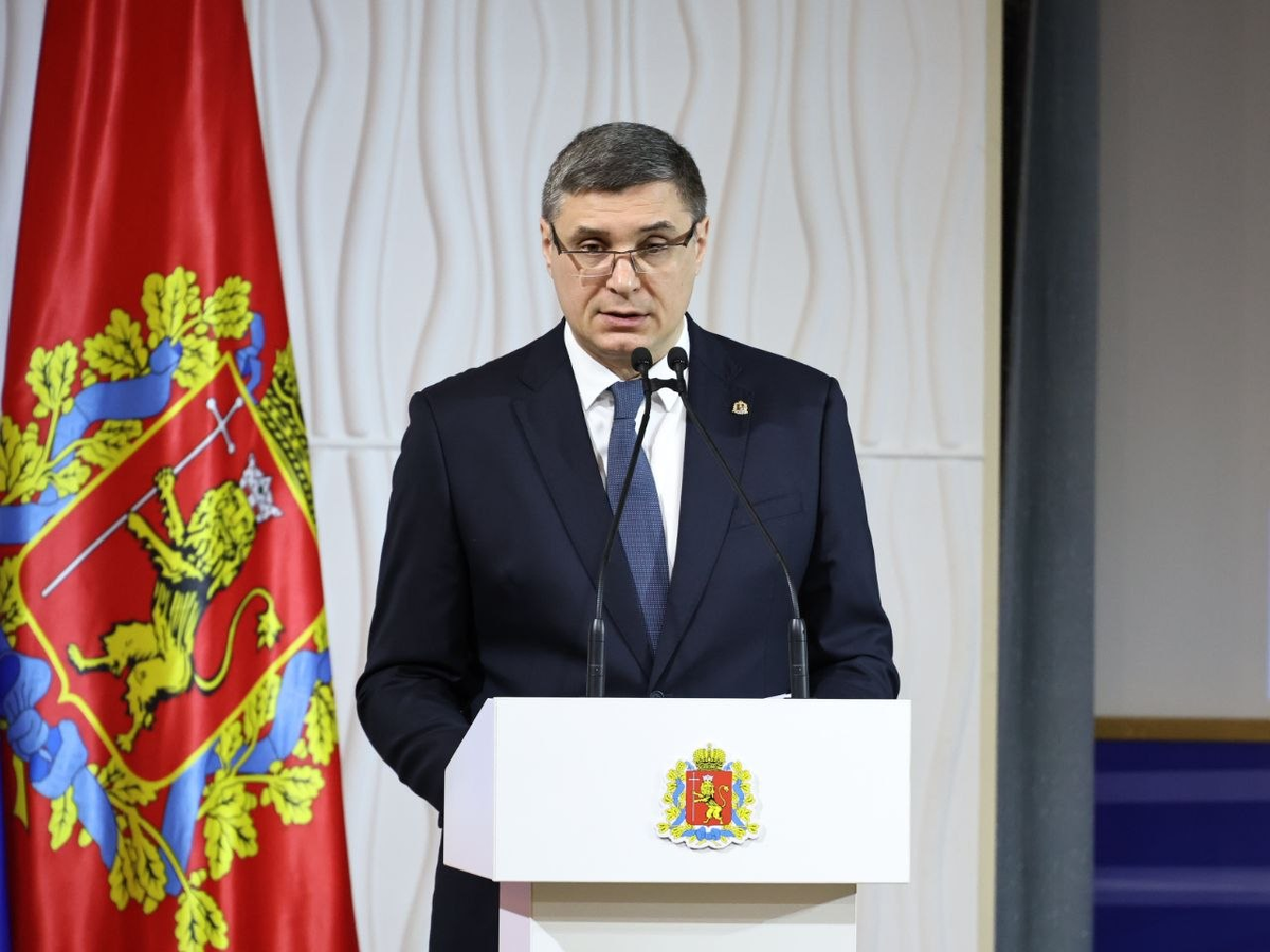    Фото: Правительство Владимирской области, источник: avo.ru