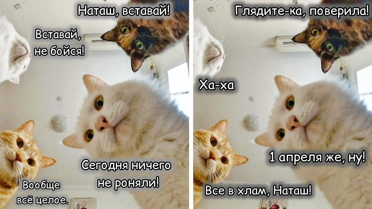 Сегодня ничего не роняли, вообще всё целое