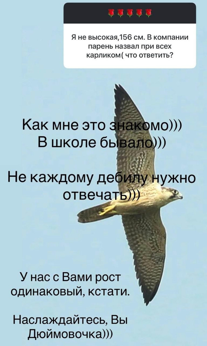    Скриншот: соцсети Ольги Орловой