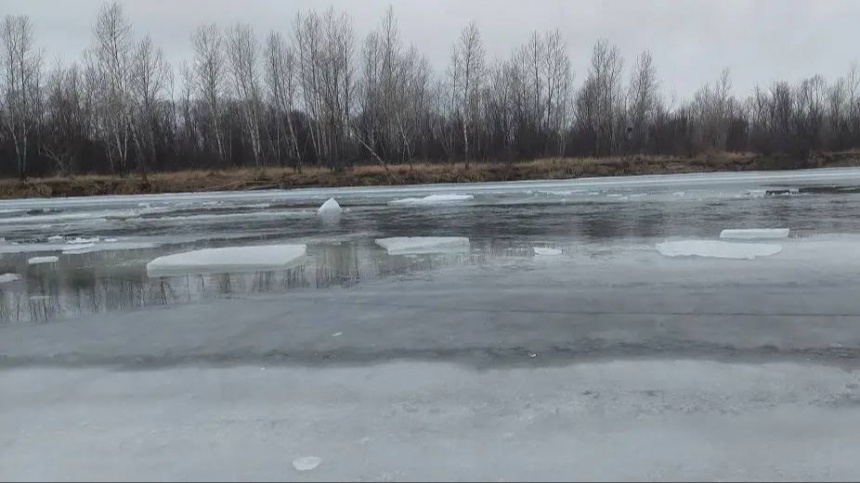    Фото: СК РФ по Красноярскому краю; 5-tv.ru